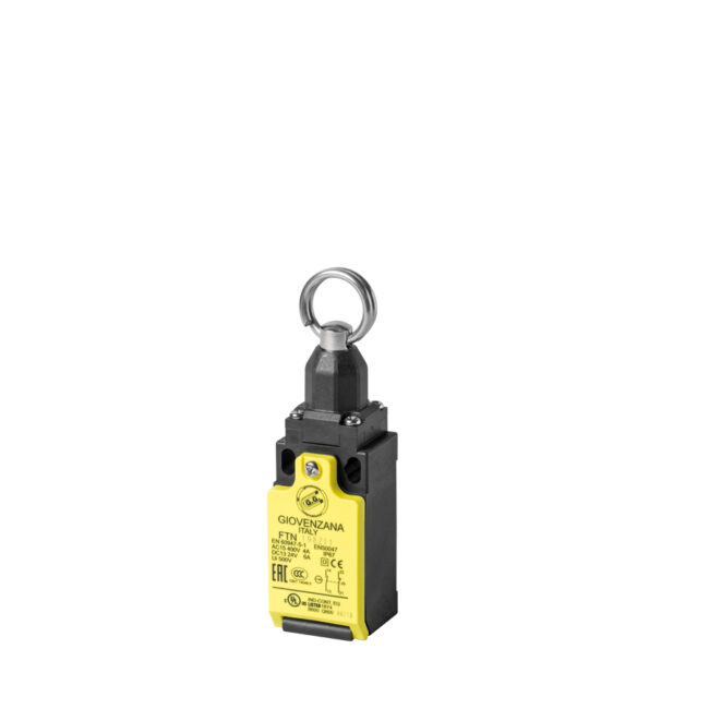 FTN198 limit-switches-